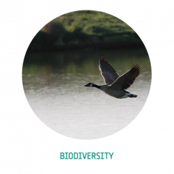 biodiversity